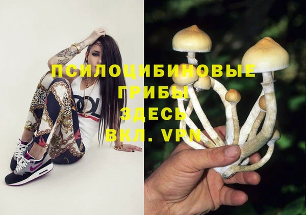 прущая мука Верхний Тагил